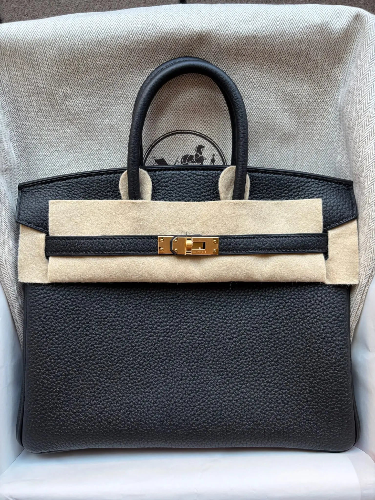 Birkin 25 Black Togo GHW
