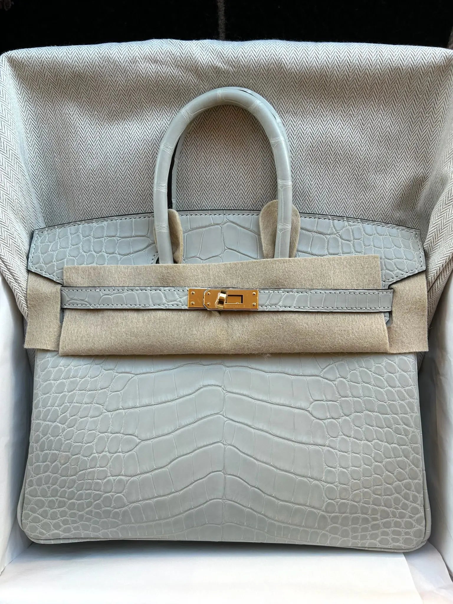 Birkin 25 Gris Neve Matt Alligator GHW