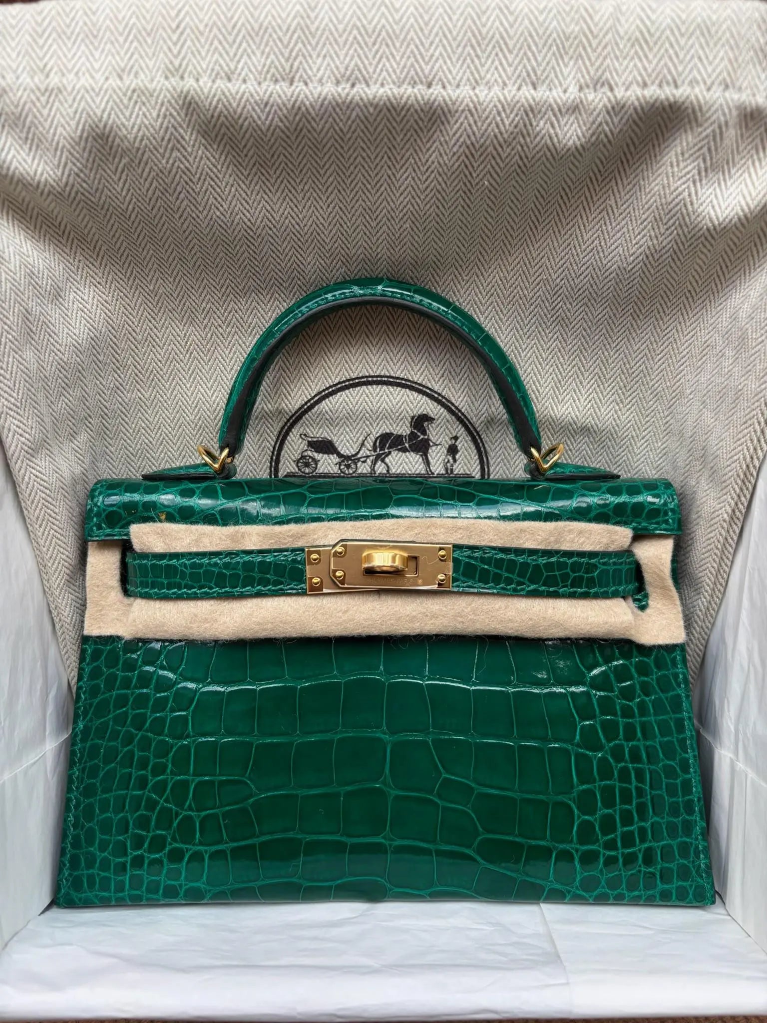 Mini Kelly Vert Emeraude Shiny Alligator GHW